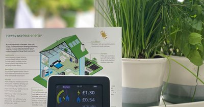 Zigbee oder Z-Wave: Welches Protokoll passt zu dir