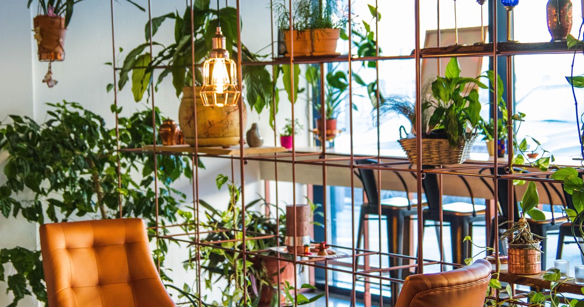 Biophilic Design: Wie Natur das Wohnraumgefühl verändert